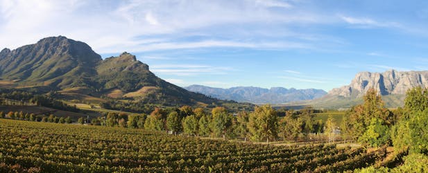 Full-day Cape Winelands private tour